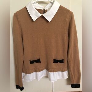 Classic Tan Sweater with White Collar